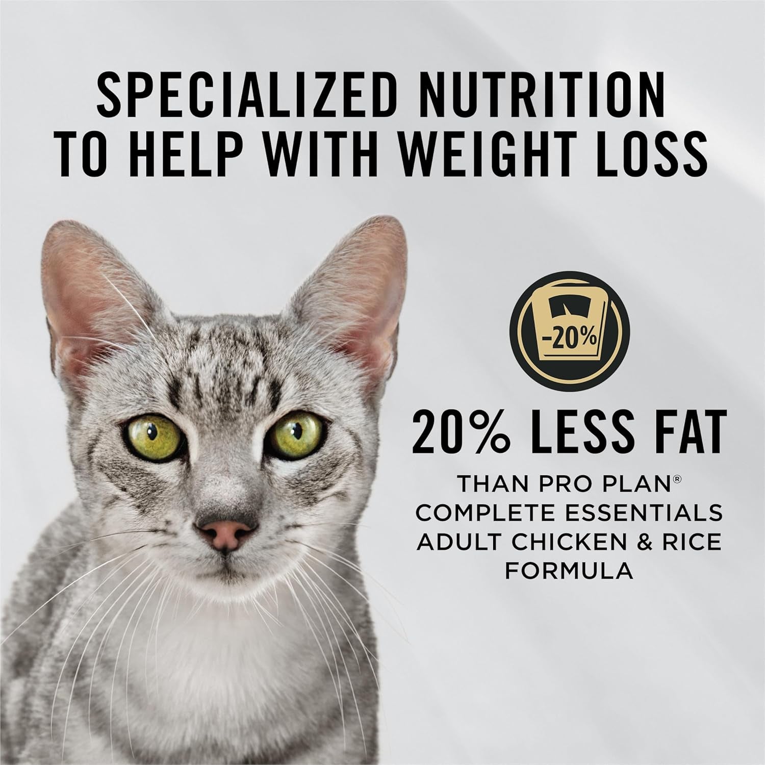 Weight Management Chicken and Rice Adult Formula Dry Cat Food